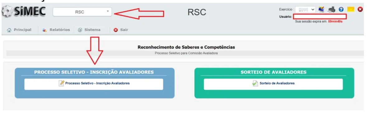 Perfil RSC e área Processo Seletivo — Inscrição Avaliadores